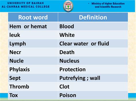 Solution Medical Terminology Blood And Lymphatic System Studypool