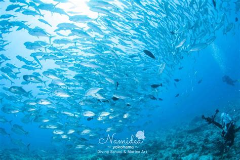 namidea