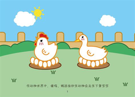 丁丁豆豆成长故事 Sex education for girls and boys Behance