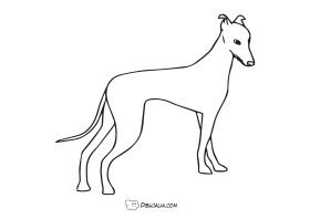 Perro Galgo Dibujo 2065 Dibujalia