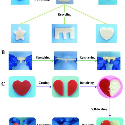 A Photographs Of Powder Self Healing Abilities Of Cma Hydrogel B