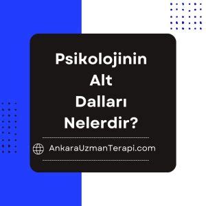 Psikolojinin Alt Dalları Nelerdir Ankara Psikolog