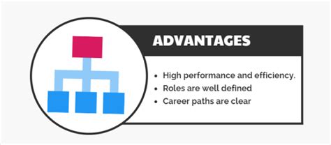 What is a Functional Organizational Structure?