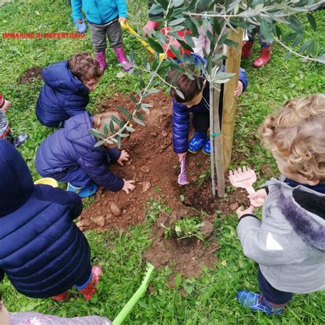 Asili Nido Gratis In Toscana Ecco Come Funziona E I Requisiti La