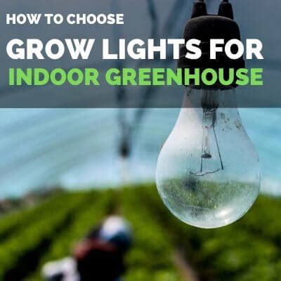 How to Choose Grow Lights for Indoor Greenhouse