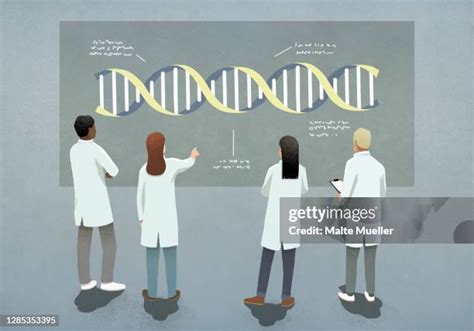 Dna Helix Diagram Photos and Premium High Res Pictures - Getty Images