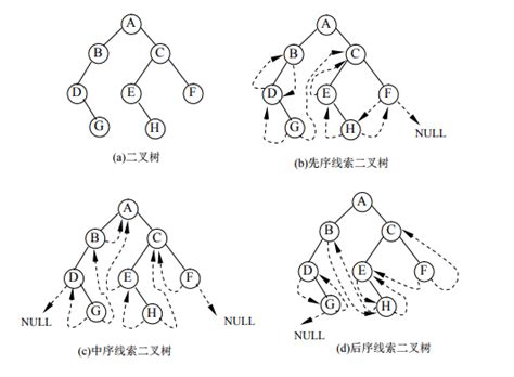 数据结构 第六章 树和二叉树 数据结构第六章 将如图所示的数装换成二 Csdn博客