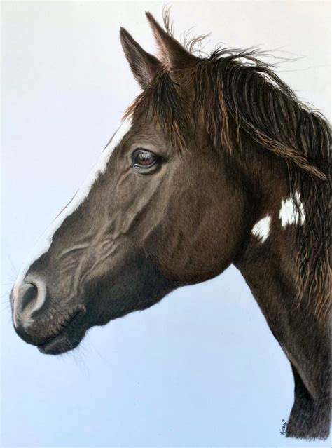 Bay horse with white markings | Horses, Bay horse, Equine portraits