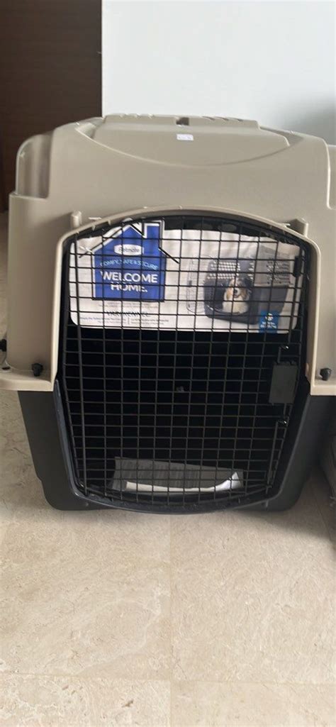 Vari Kennel Dog Crate Pet Supplies Homes And Other Pet Accessories On