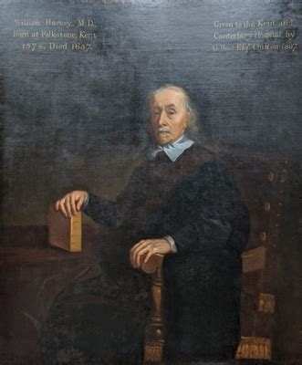 William Harvey Portrait C Ehive