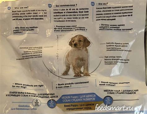 Royal Canin Puppy Medium - рейтинг, обзор корма, сравнение и анализ ...
