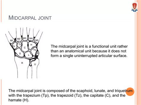 Wrist joint complex | PPTX
