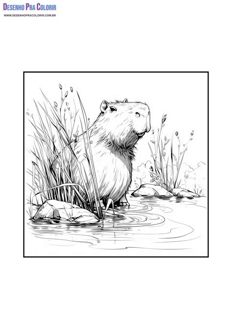 Capivara Para Colorir + De 40 Desenhos Para Imprimir e Pintar