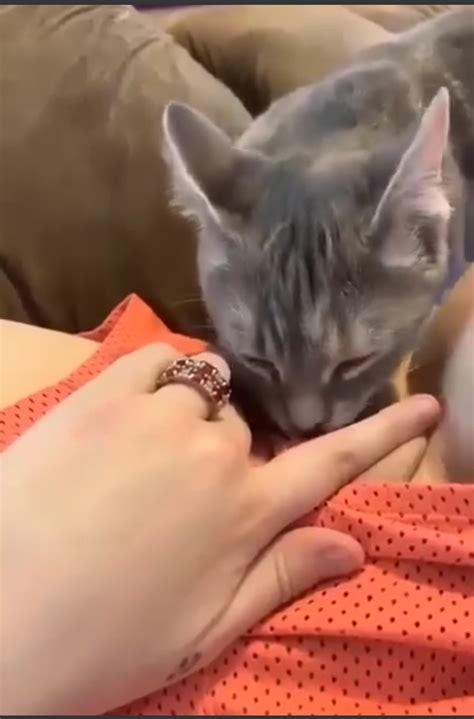 Widowed Mom 20240823 002417 Porn Pic