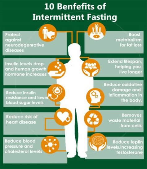 Metabolic Step By Step Stages Of Fasting In The First 58 OFF