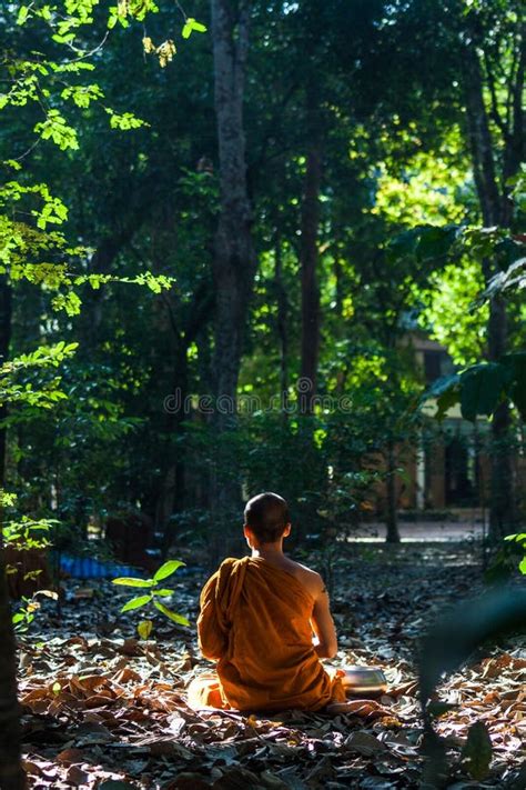 Forest monk stock image. Image of forest, faith, building - 57224547