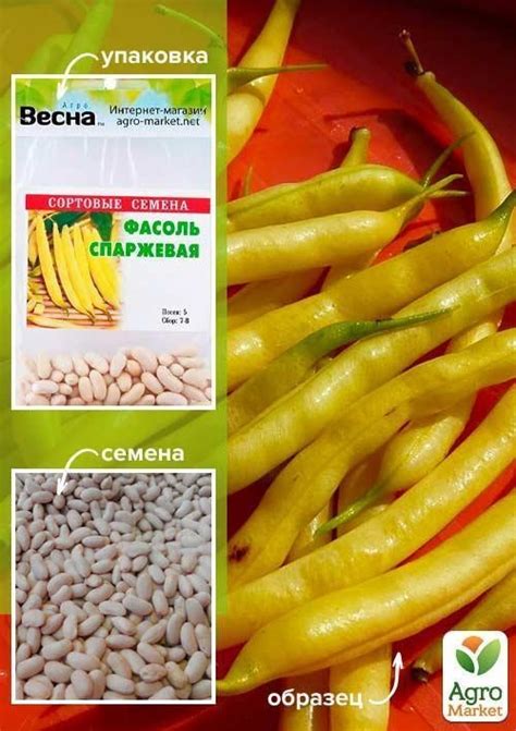 Фасоль спаржевая "Желтая" (Зипер) ТМ "Весна" 5г купить почтой в Одессе ...