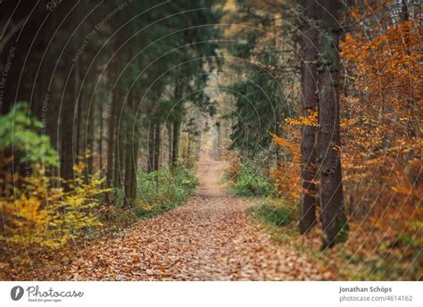 Waldweg Im Herbst Tilt Effekt Ein Lizenzfreies Stock Foto Von Photocase