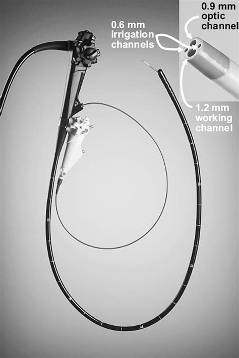 References In Preclinical Characterization Of The Spyglass Peroral Cholangiopancreatoscopy