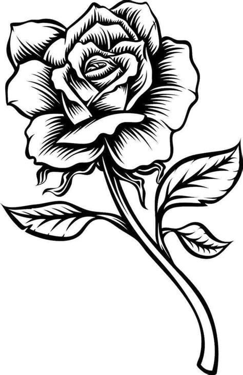 Rose Drawing Tattoo Tattoo Outline Drawing Roses Drawing Skull