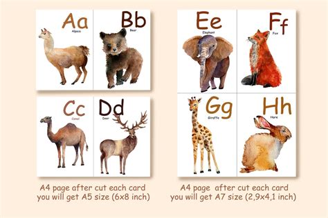 Animal Alphabet Flash Cards Abc Animal Activity Cards Homeschool Or