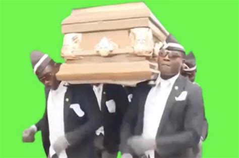 Coffin Dance Meme Green Screen Download