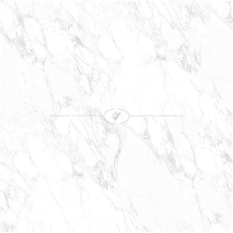 White Marble Arabescato Pbr Texture Seamless 22209