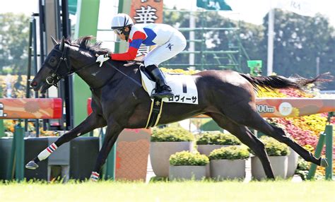 京都5R2歳新馬9番人気のロヴィーサが快勝 大根田調教師はJRA通算300勝達成 UMATOKU 馬トク