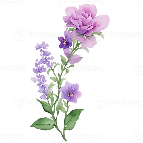 Violet Flower Watercolor Clip Art 27131738 PNG