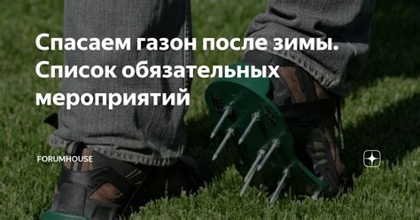 Спасаем газон после зимы. Список обязательных мероприятий | FORUMHOUSE ...