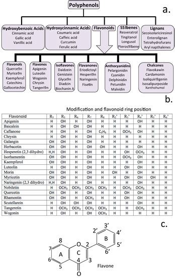 Antioxidants Free Full Text The Potential Of Flavonoids And