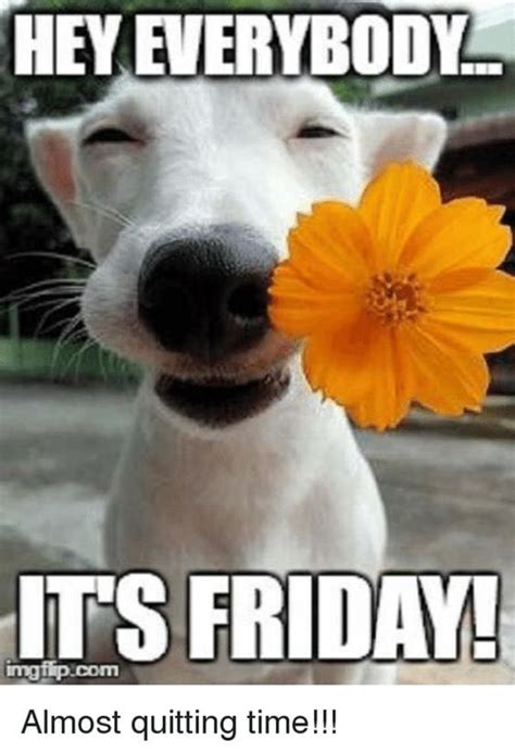 funny friday memes images  happy friday memes boomsumo
