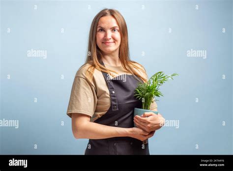 Brunette Woman Gardener Holds Pot With A Plants In Studio Blue Background Stock Photo Alamy