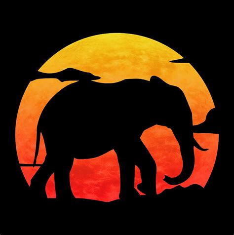 Elephant Sunset Digital Art by Filip Schpindel