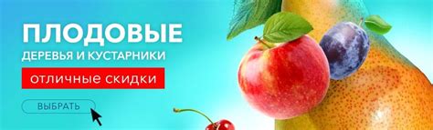 Купить саженцы, луковицы, рассаду в Минске, заказать в Беларуси почтой ...