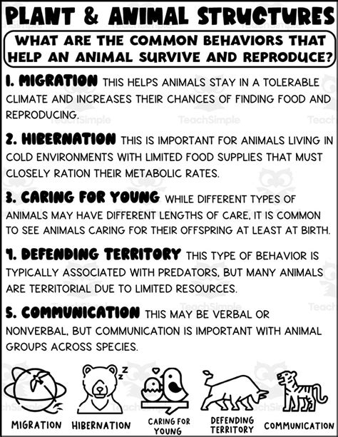 animal behavior charts  behaviorchartnet