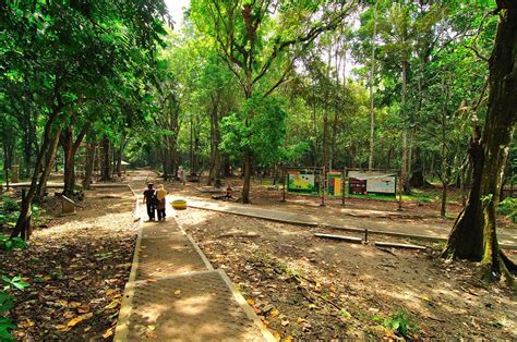 Taman Wisata Dan Cagar Alam Pangandaran My Green Canyon