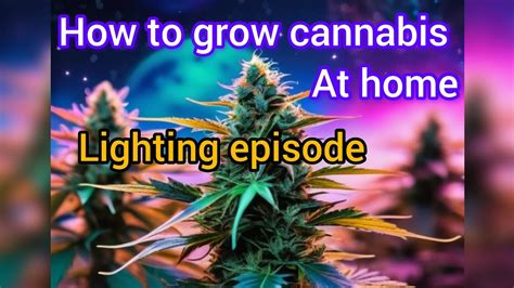 How To Grow Big Buds With Proper Lighting YouTube