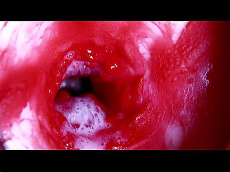 Trou chaud et humide et grosse bite bâclée XVIDEOS