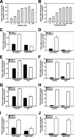 Functional Genomic Analysis Reveals Cross Talk Between Peroxisome