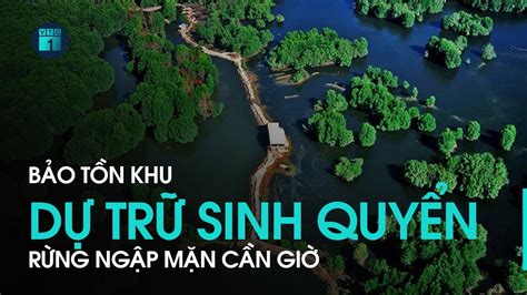 Khu dự trữ sinh quyển Rừng ngập mặn Cần Giờ Bức tường xanh cho môi