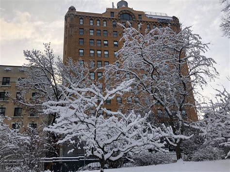 La ciudad de Nueva York amanece cubierta con la primera nieve del año