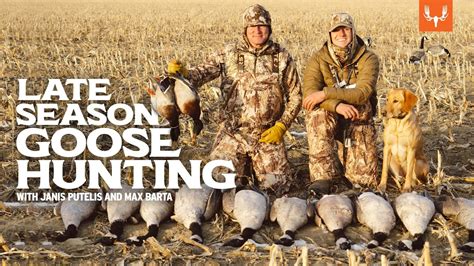 Late Season Goose Hunting With Janis Putelis Youtube