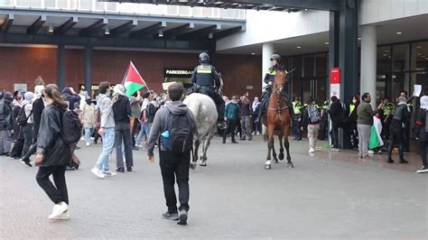 Un manifestant arrêté à Stopera pour avoir jeté des pierres s est avéré