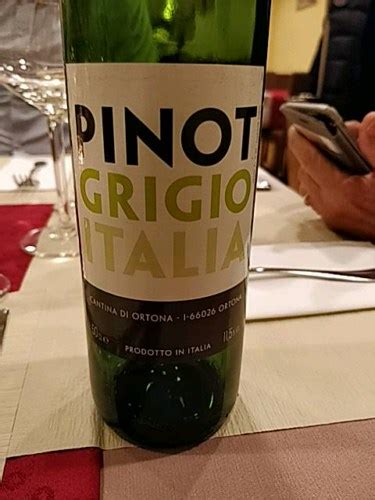 Cantina Di Ortona Pinot Grigio Vivino Us