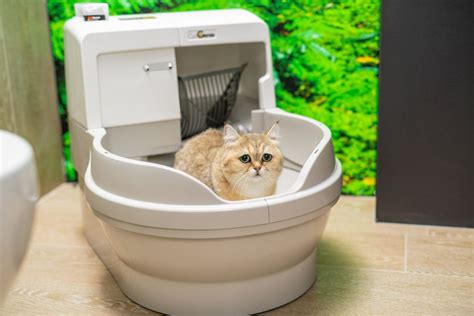 CatGenie 120+ without GenieDome - catgenie.online