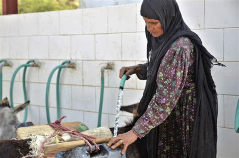 Save the Children's Yemen response — AHP