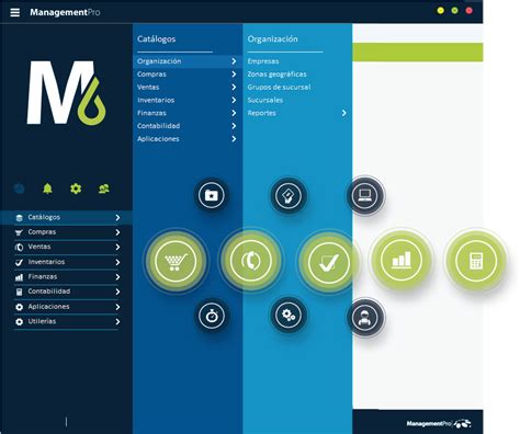 Sistema Erp M Dulos Managementpro