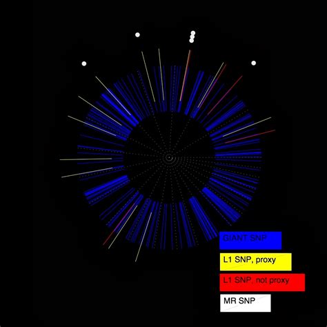 Information Processing Adventures In The High Dimensional Space Of Genomes