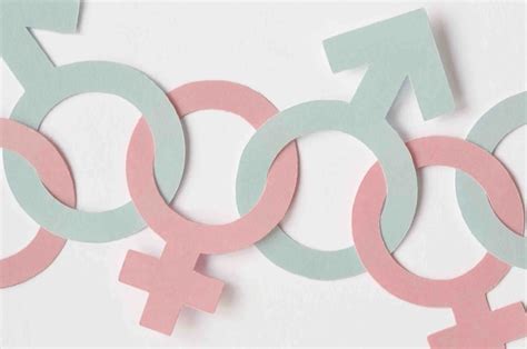 gender equality   long     cairo institute
